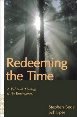 Redeeming the Time by Stephen B. Scharper image