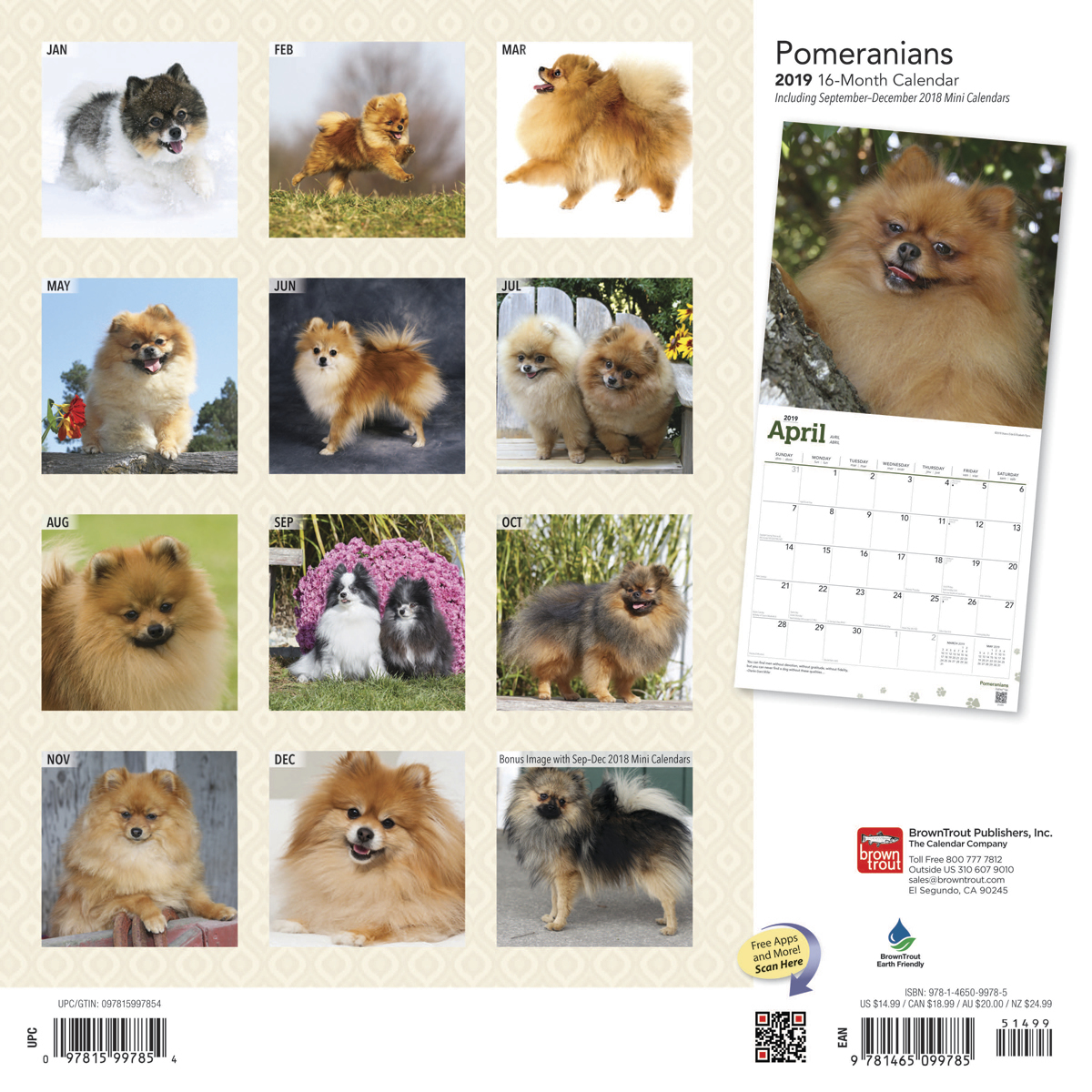 Pomeranians 2019 Square Wall Calendar by Inc Browntrout Publishers image