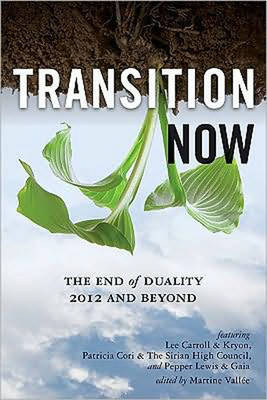 Transition Now by Martine Vallee