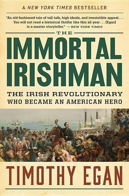 The Immortal Irishman by Timothy Egan image