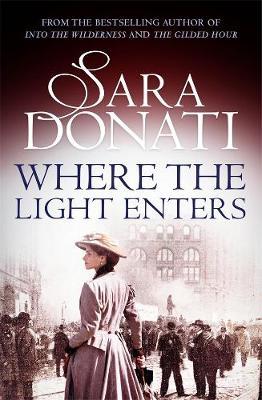 Where the Light Enters by Sara Donati image