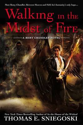 Walking In the Midst of Fire: Remy Chandler Book 6 image