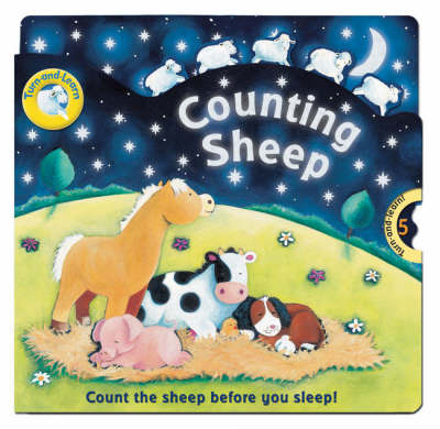 Counting Sheep by Rachel Elliot image