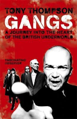 Gangs by Tony Thompson image