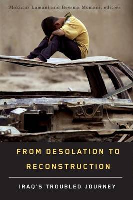 From Desolation to Reconstruction image