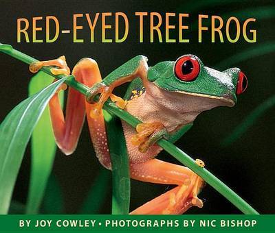 Red-Eyed Tree Frog by Joy Cowley image