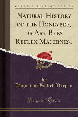 Natural History of the Honeybee, or Are Bees Reflex Machines? (Classic Reprint) by Hugo Von Buttel-Reepen