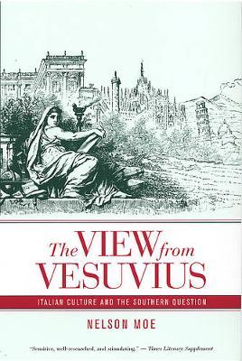 The View from Vesuvius by Nelson J. Moe image