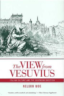 The View from Vesuvius by Nelson J. Moe