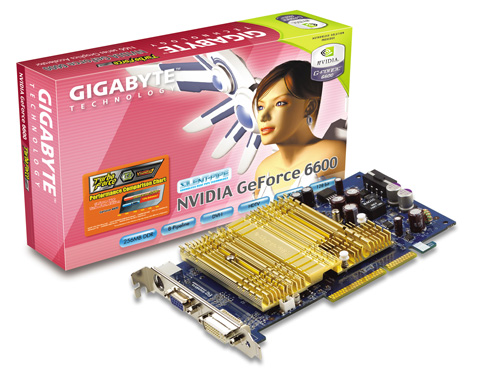 Gigabyte Graphics Card NVIDIA GeForce 6600 + HSI 256M AGP image