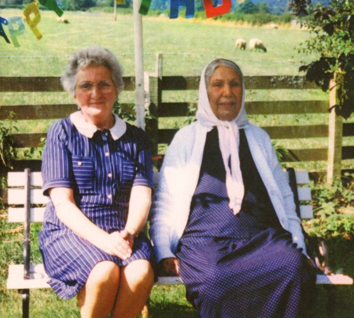Theory of Colours (LP) by Dauwd image
