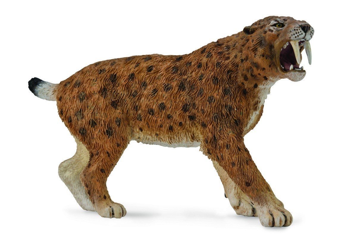 CollectA - Smilodon image