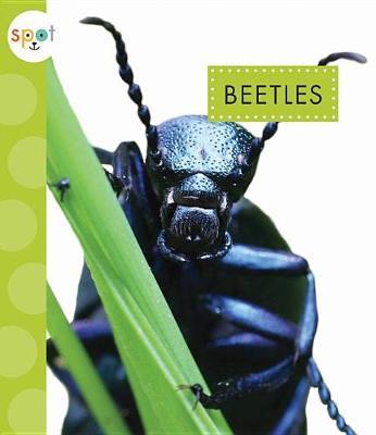 Beetles by Nessa Black image