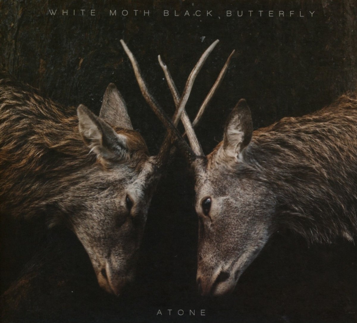 Atone by White Moth Black Butterfly image