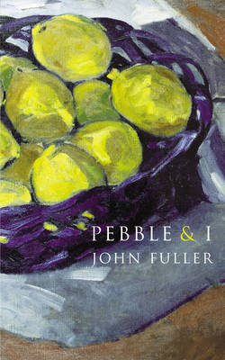 Pebble & I by John Fuller image