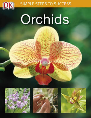 Orchids by Liz Johnson image