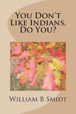 You Don't Like Indians, Do You? by William B Smidt image