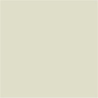 Citadel Dry paint: Longbeard Grey | at Mighty Ape NZ