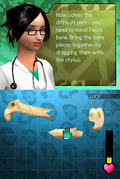 Zoo Hospital for Nintendo DS image