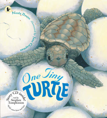 One Tiny Turtle Pbk With Cd image