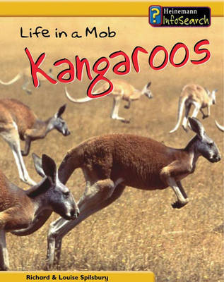 Animal Groups: Life in a Mob of Kangaroos Hardback on Hardback by Louise Spilsbury