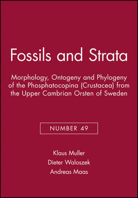 Fossils and Strata by Andreas Maas image