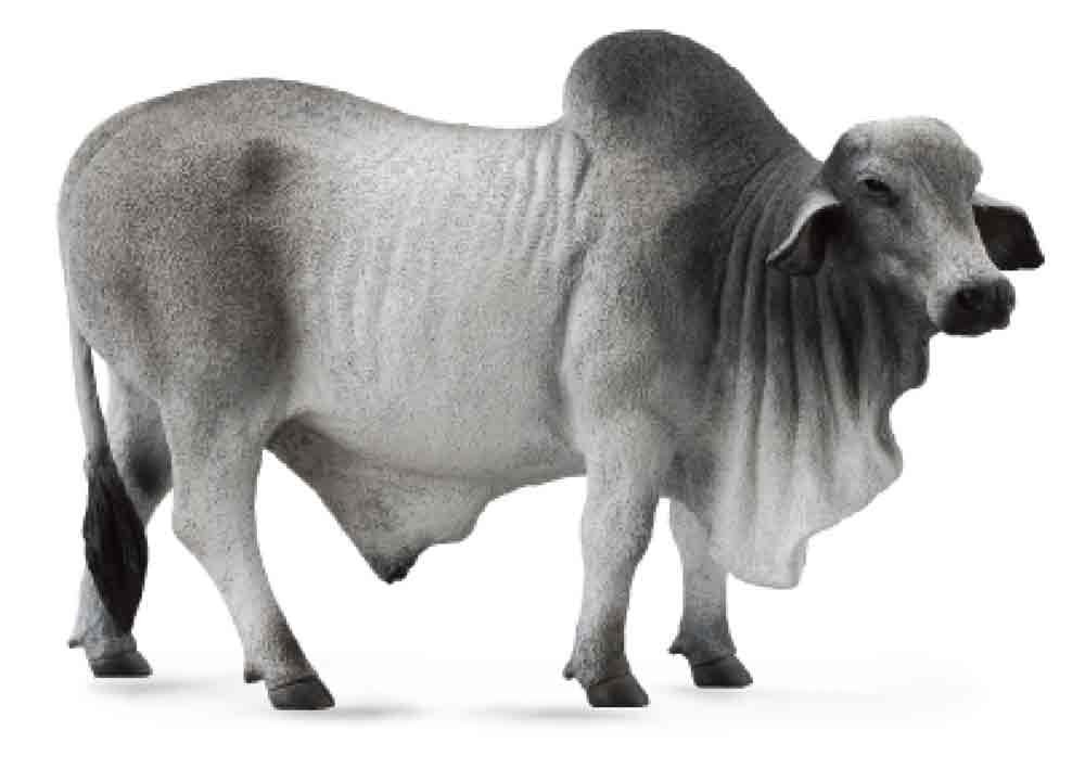 CollectA - Brahman Bull image