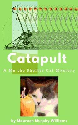 Catapult by Maureen Murphy Williams image