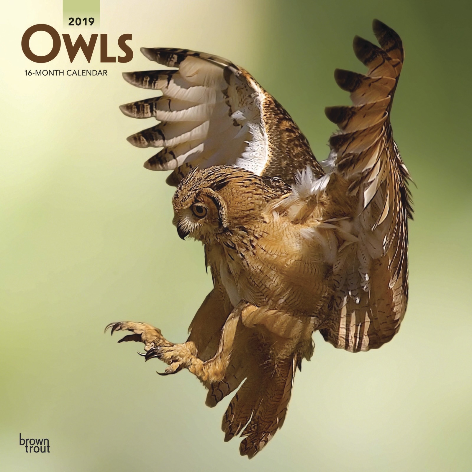 Owls 2019 Square Wall Calendar by Inc Browntrout Publishers image