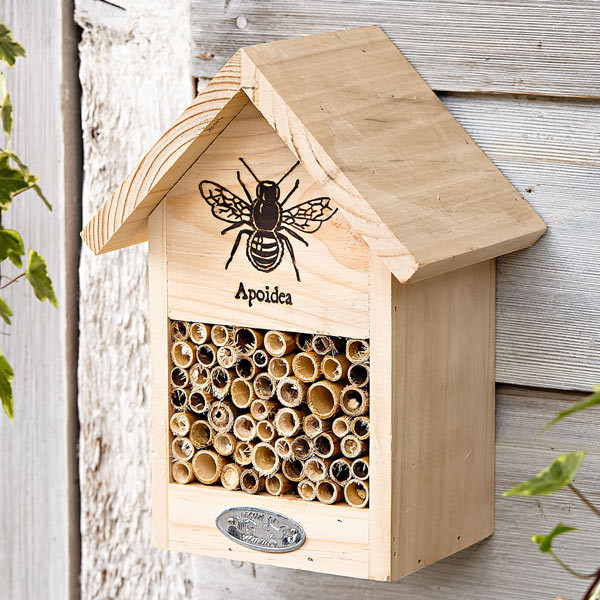 Apoidea Bee House image