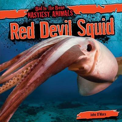 Red Devil Squid by John O'Mara image