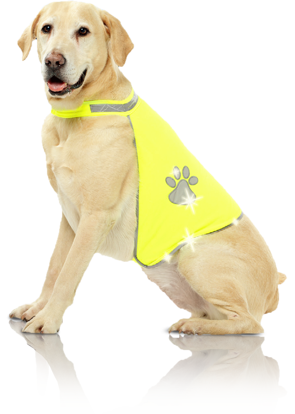 Buy Pawise Dog Safety Vest at Mighty Ape NZ