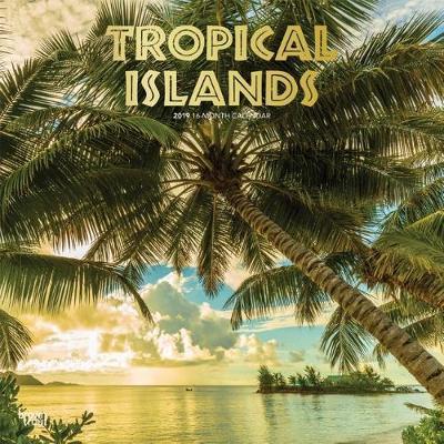 Tropical Islands 2019 Square Wall Calendar by Inc Browntrout Publishers image