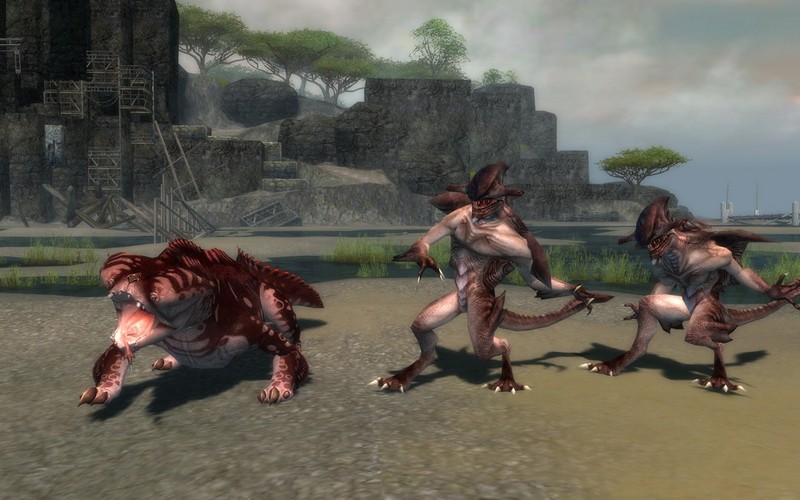 Guild Wars: Nightfall Collector's Edition for PC Games image