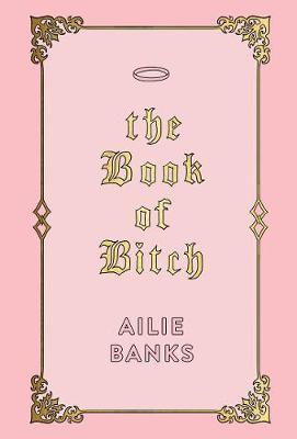 The Book of Bitch by Ailie Banks image
