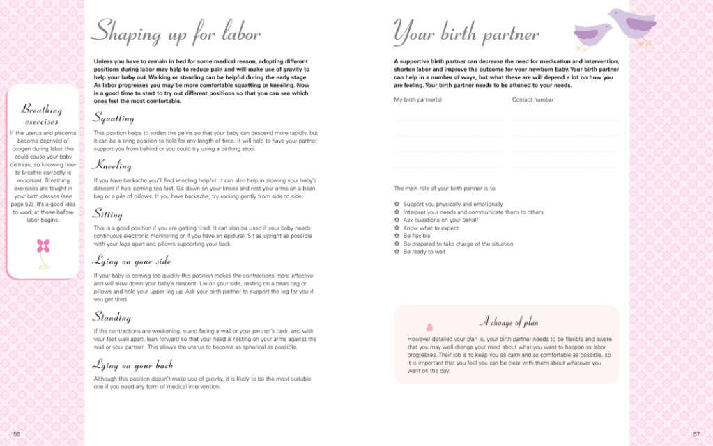 My Pregnancy Journal by Alison Mackonochie image