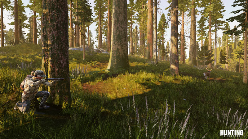Hunting Simulator for PS4 image
