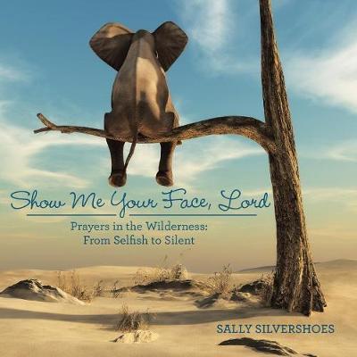 Show Me Your Face, Lord by Sally Silvershoes image