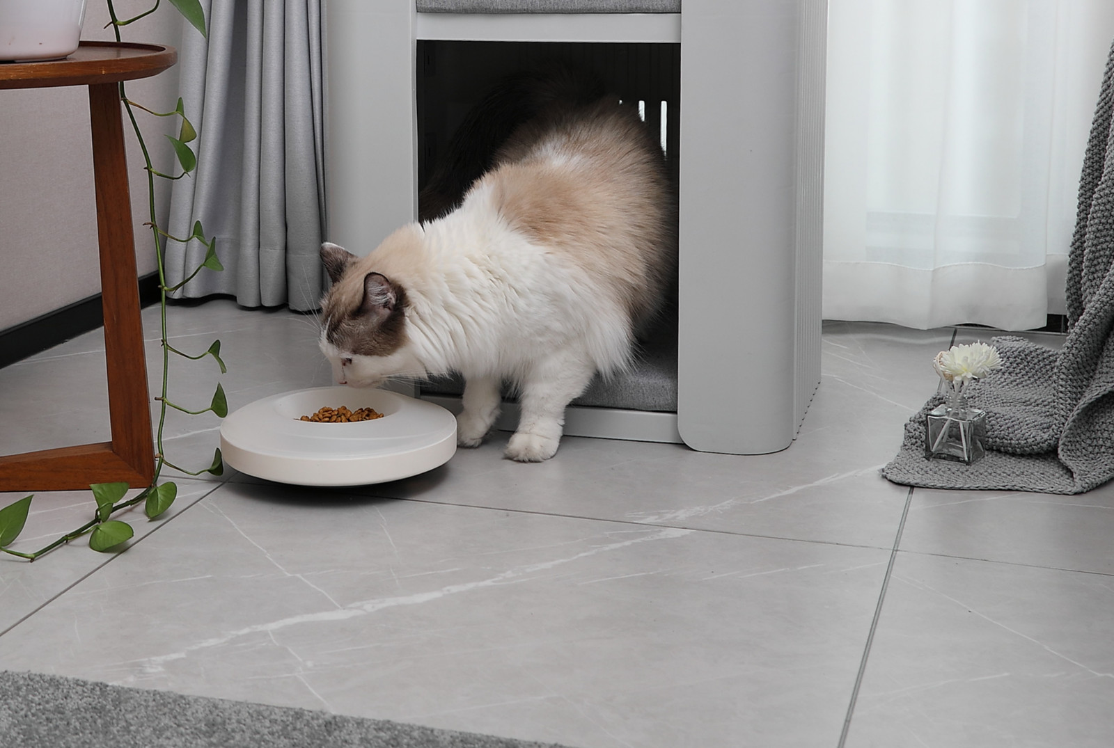 Buy Zoomies Slow Feeder Food Bowl Blue at Mighty Ape NZ