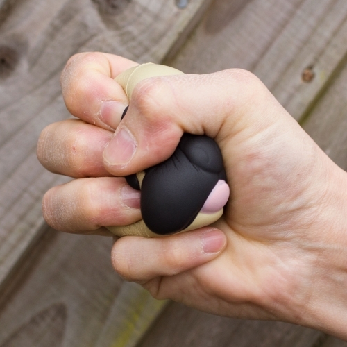 Thumbs Up!: Pug Stress Ball image