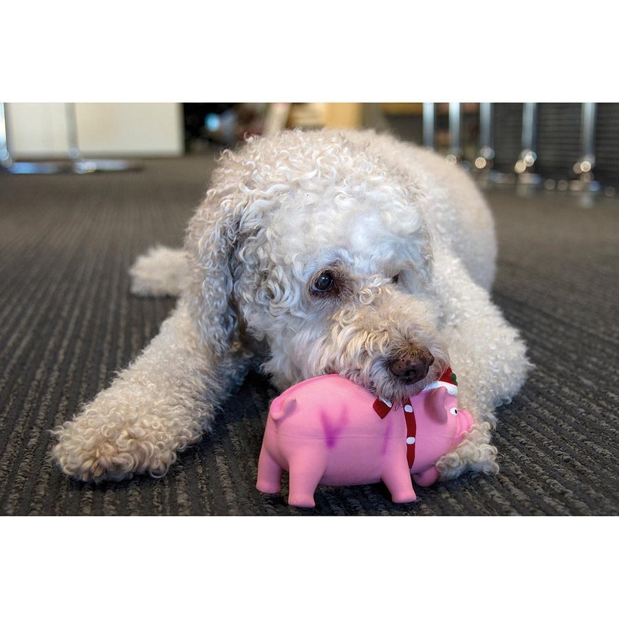 Buy IS GIFT Holiday Ham Dog Toy with Sound at Mighty Ape NZ