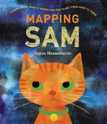 Mapping Sam by Joyce Hesselberth image