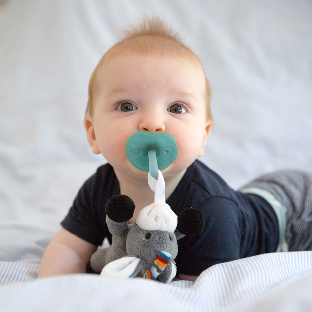 Buy Zazu Pacifier Holder Donny at Mighty Ape NZ