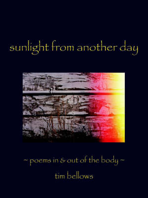 Sunlight From Another Day by Tim Bellows image