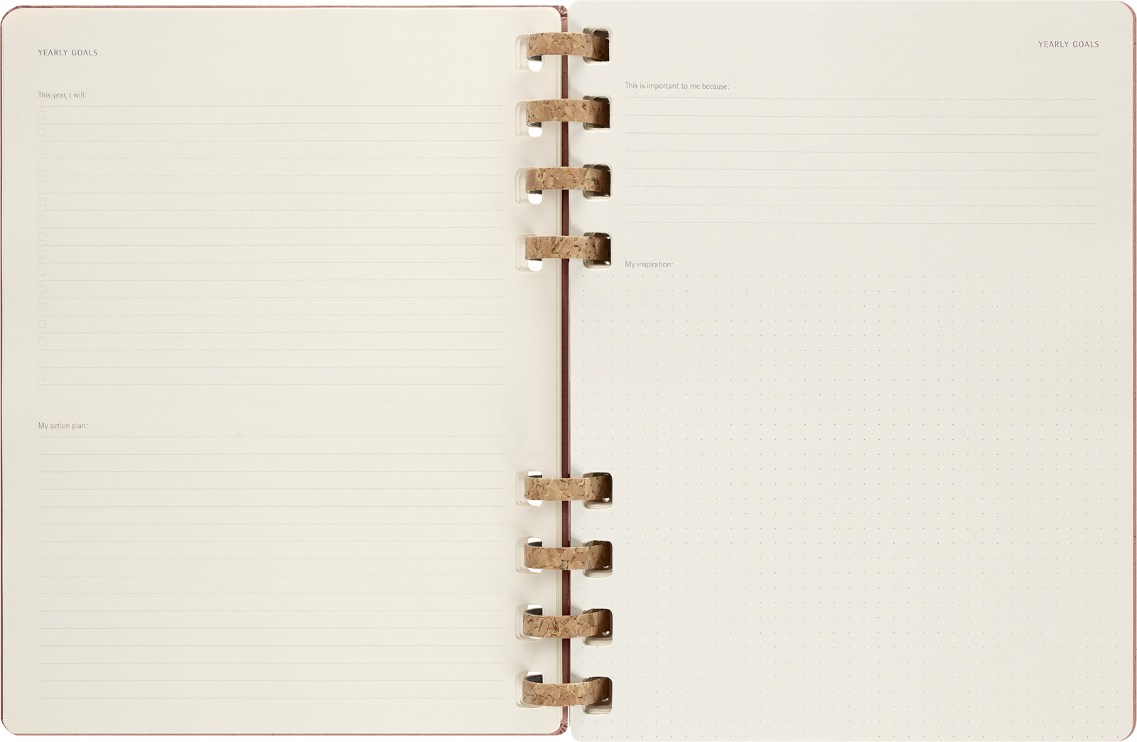 Buy Moleskine 2024 Spiral Planner Xtra Large 12 Month Crush Almond