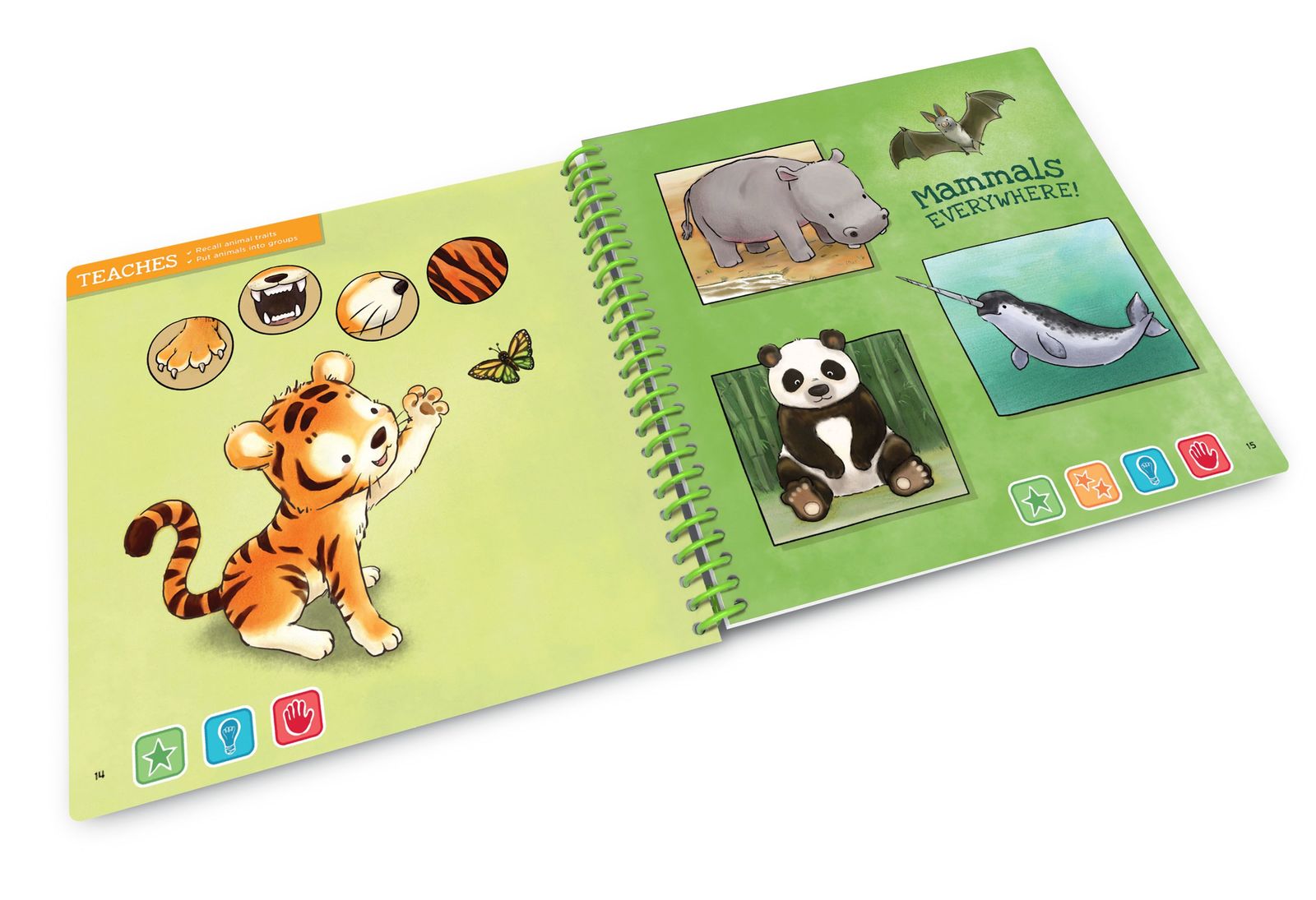 Leapstart: Animal Discovery - Activity Book (Level 1)