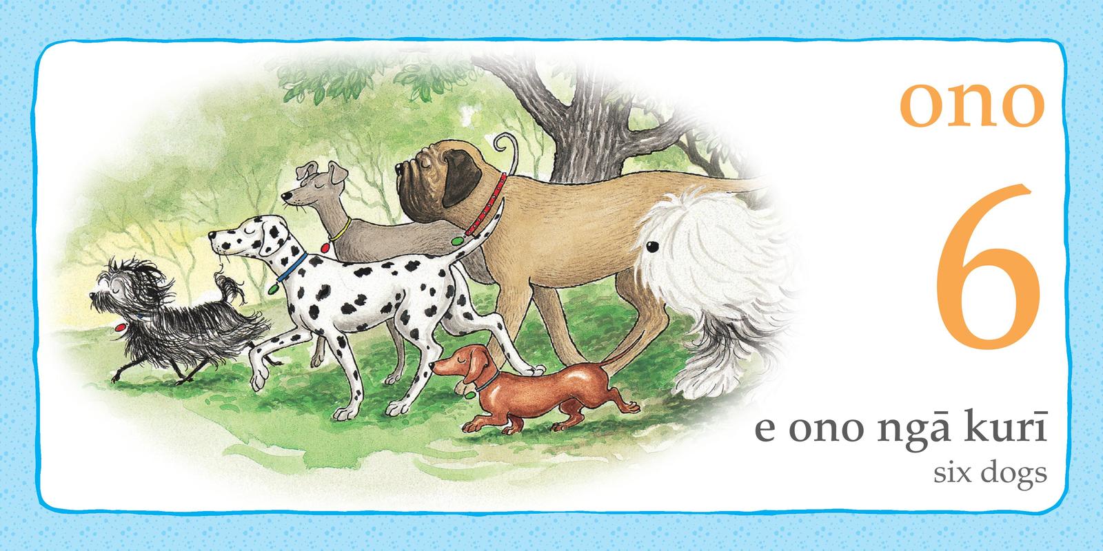 Hairy Maclary and Friends: 123 in Maori and English by Lynley Dodd image