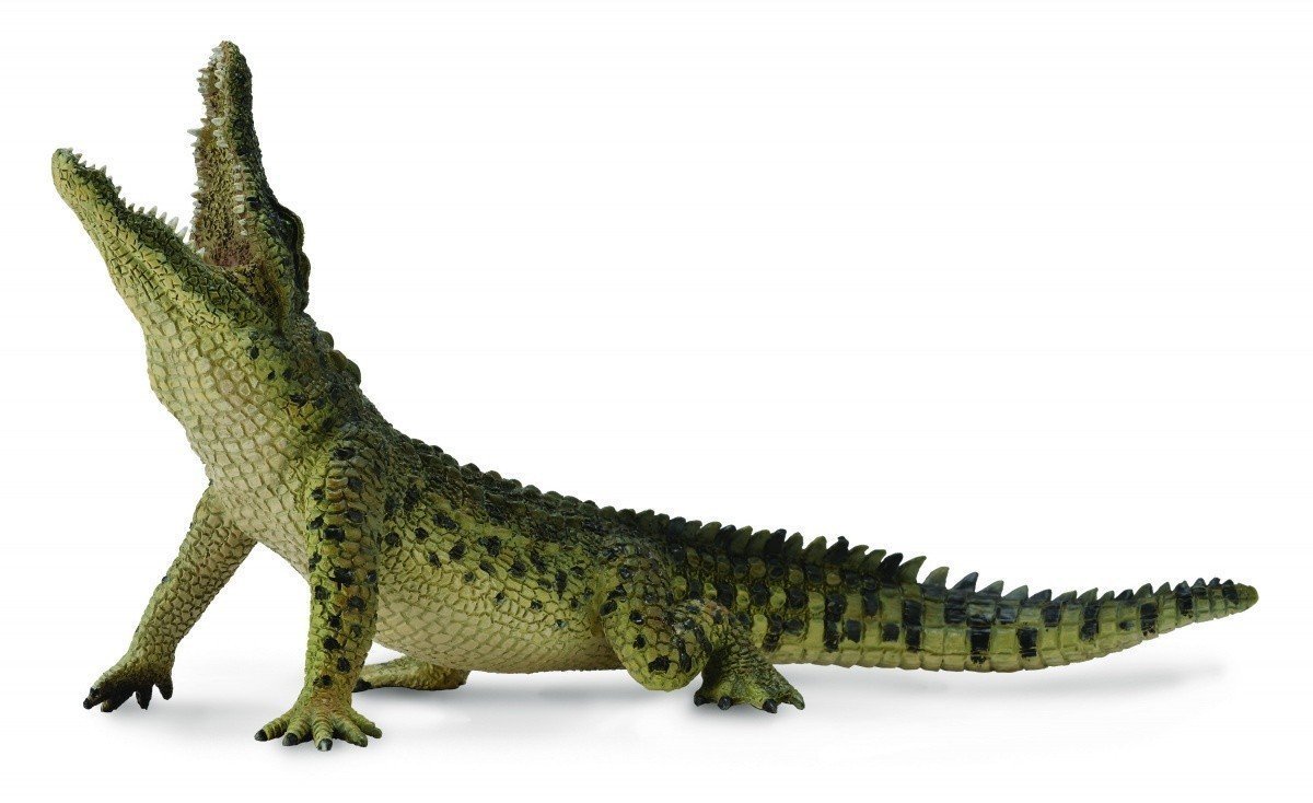 CollectA - Nile Crocodile Leaping (with Moveable Jaw) image