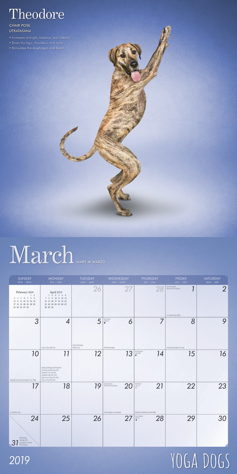 Yoga Dogs 2019 Square Wall Calendar by Inc Browntrout Publishers image
