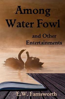 Among Water Fowl by E W Farnsworth